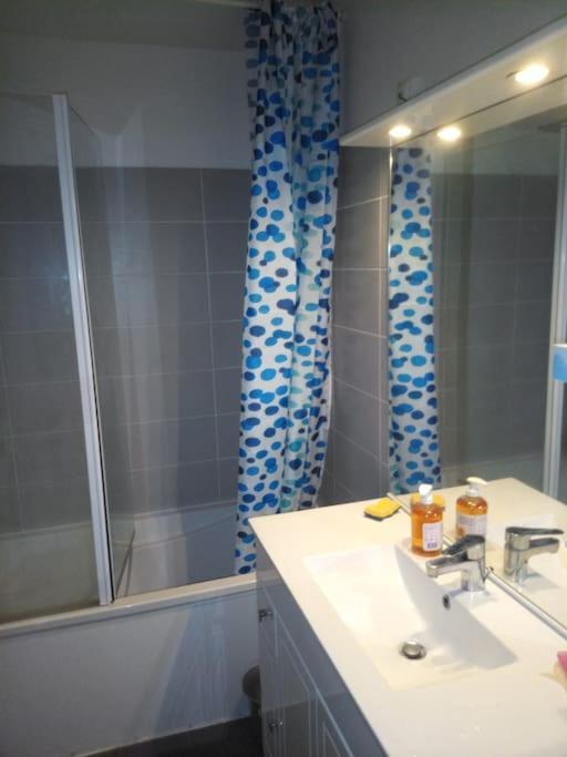 -- Le Refuge, A 50 Metres De La Gare -- Apartment Grenoble Bagian luar foto