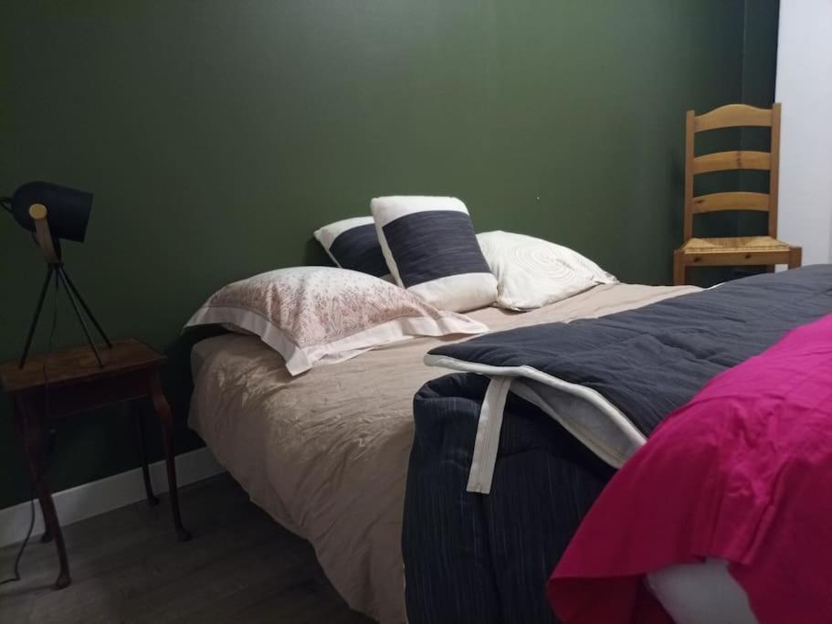 -- Le Refuge, A 50 Metres De La Gare -- Apartment Grenoble Bagian luar foto